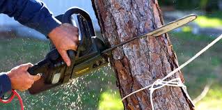 Best Storm Damage Tree Cleanup  in Heritage Hills, NY