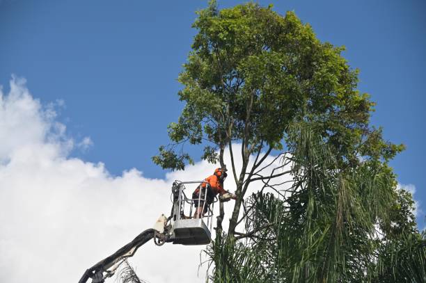 Best Tree Health Inspection  in Heritage Hills, NY