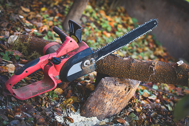 Best Emergency Tree Removal  in Heritage Hills, NY
